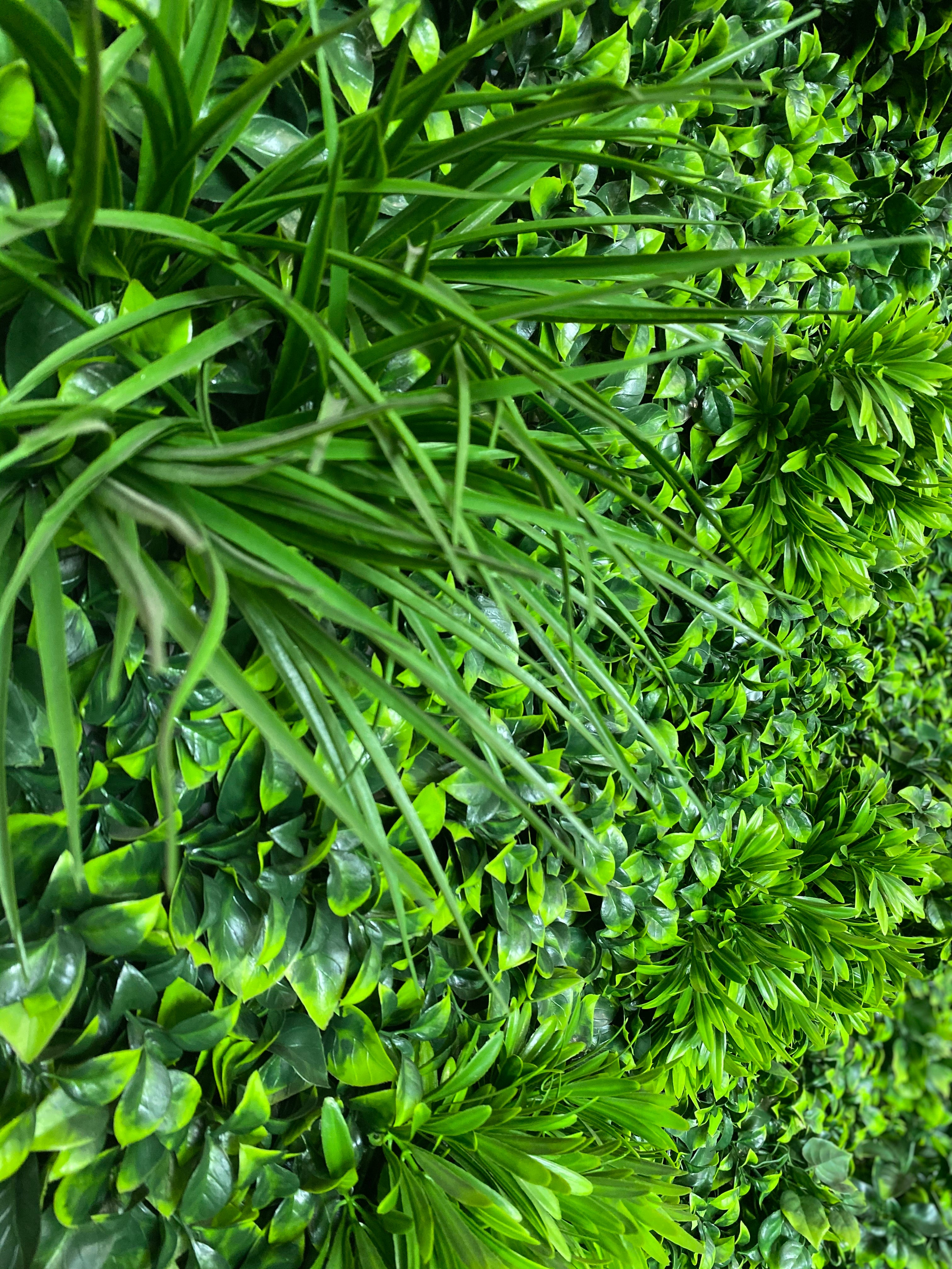 green wall